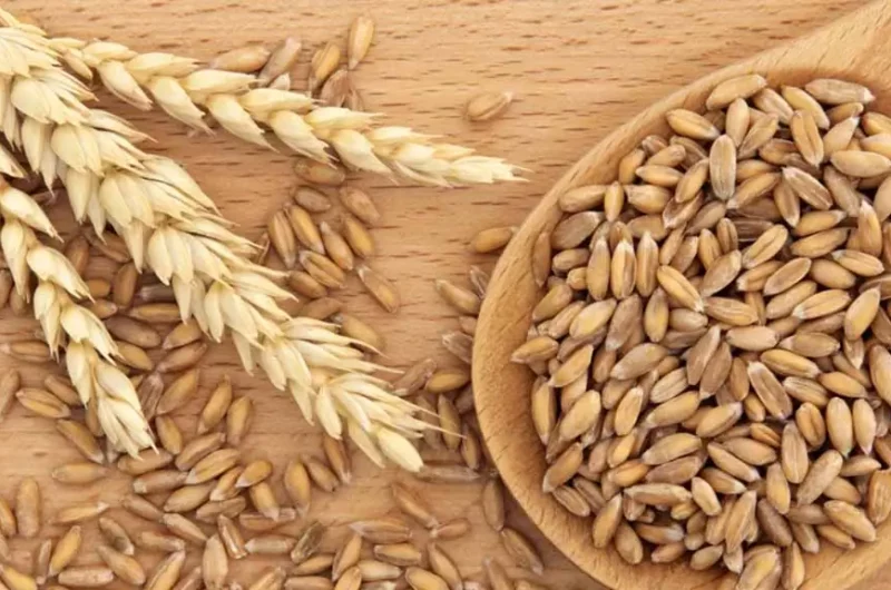 Farro Alle Mandorle E Zafferano