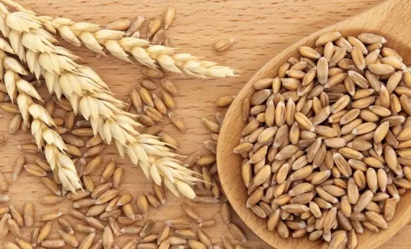 Farro Alle Mandorle E Zafferano