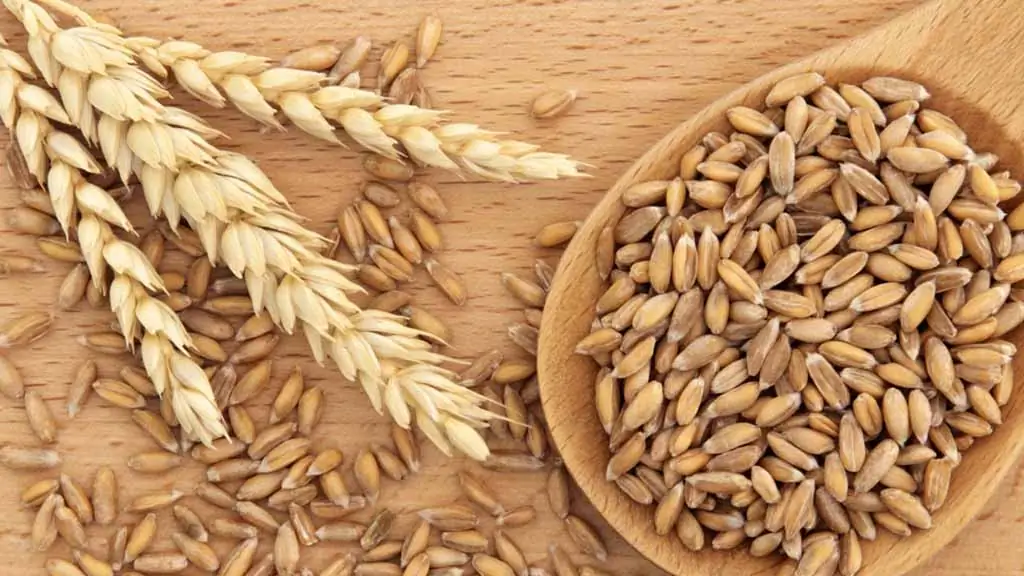 Farro Alle Mandorle E Zafferano