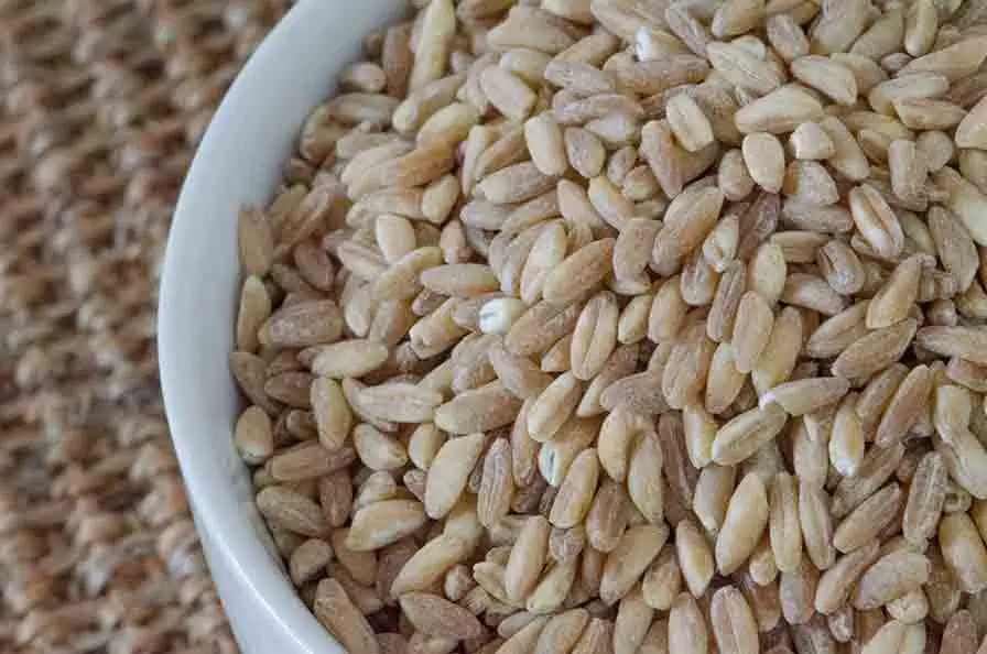 Farro Con Zampetti