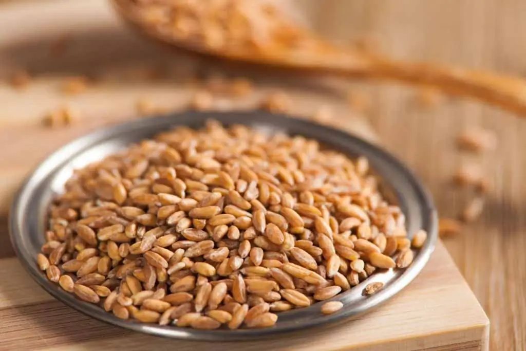 Torta Di Farro