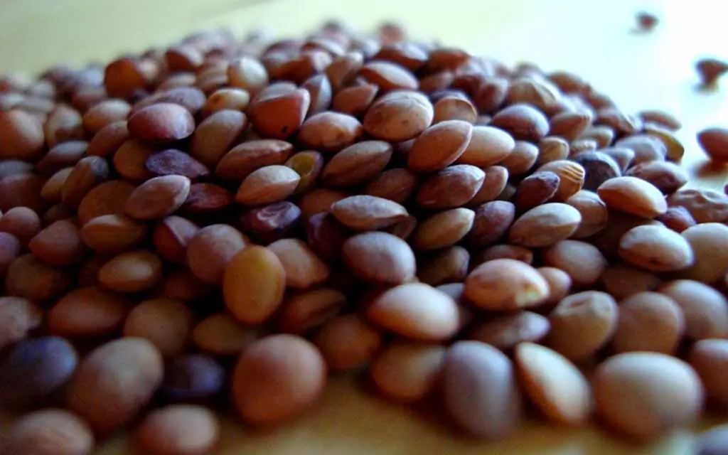 Lenticchie Di Castelluccio Di Norcia