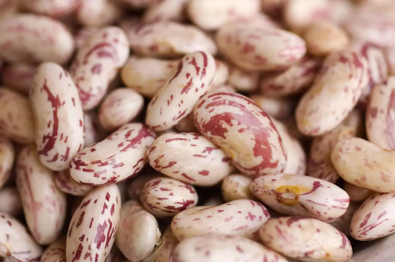 Macco Di Fagioli