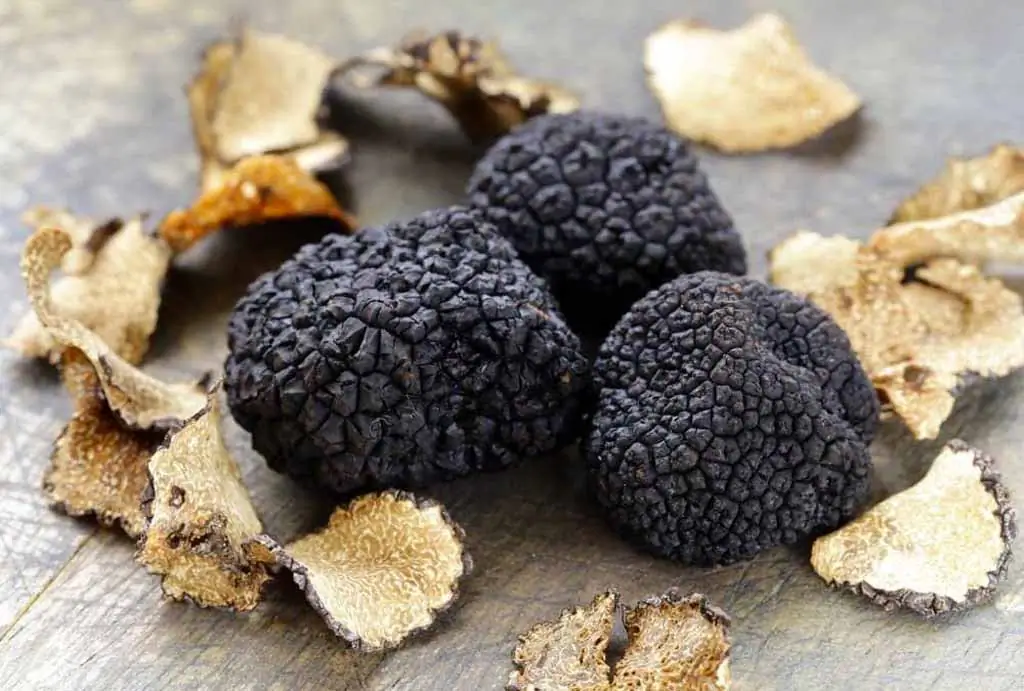 Tartufo Nero Invernale