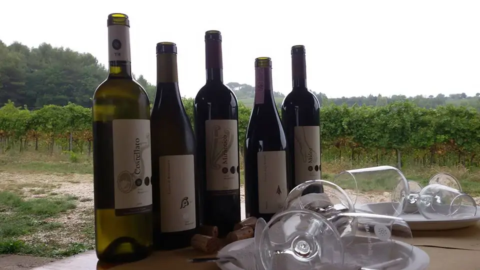 Torgiano Riserva Docg