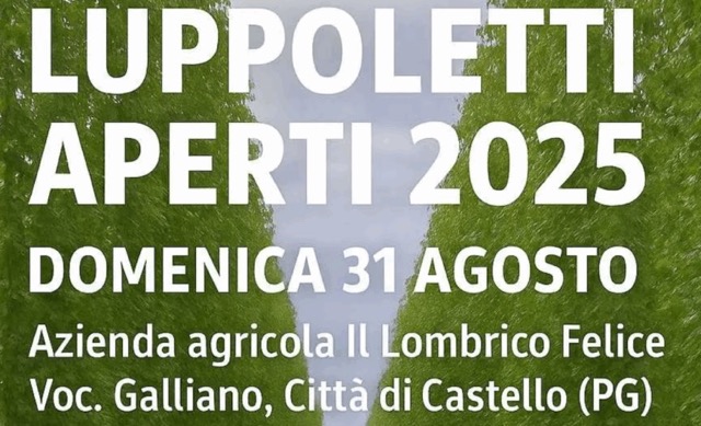 Luppoleti Aperti 2025: Hops take centre stage in Città di Castello