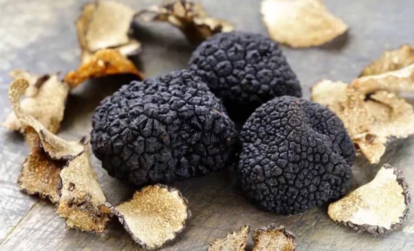 The truffle
