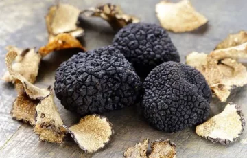 tartufo-nero-di-norcia-umbria
